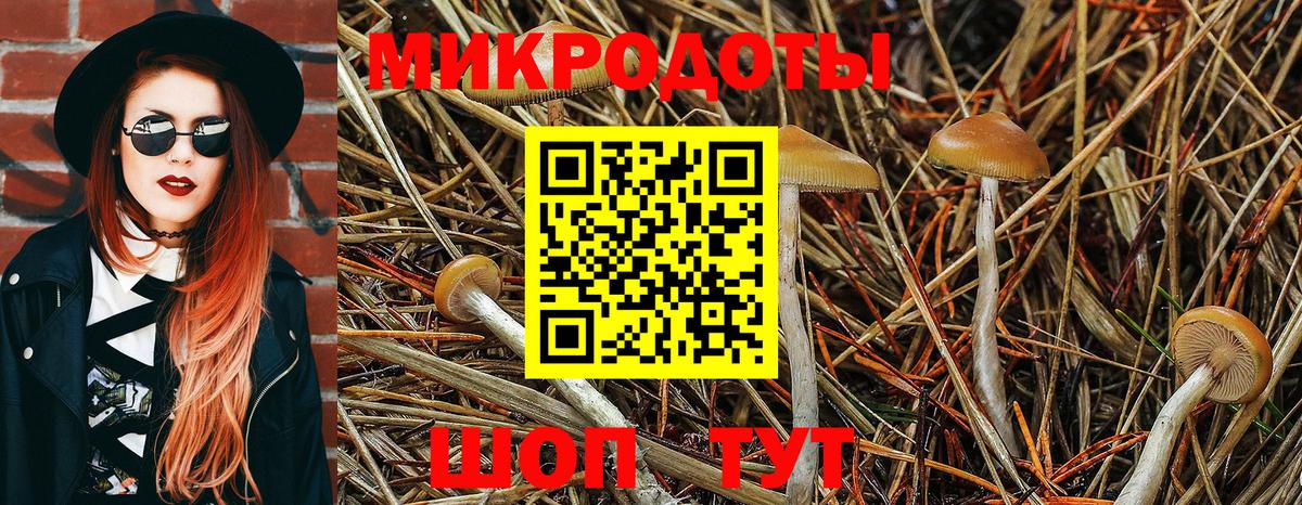 Волхов  Галлюциногенные грибы мицелий  Галлюциногенные грибы Magic Shrooms  Вход с VPN 