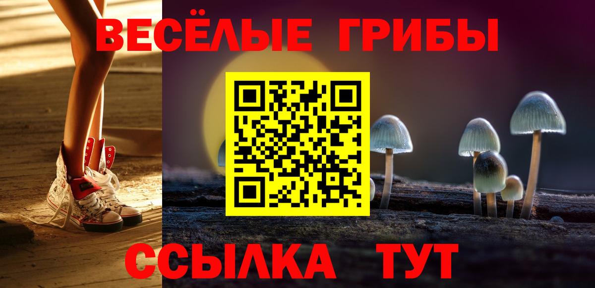 Галлюциногенные грибы Psilocybine cubensis Волхов